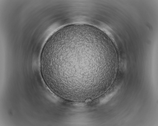 X0000115271191200911131801