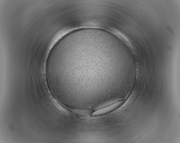 X0000115271192200911131801