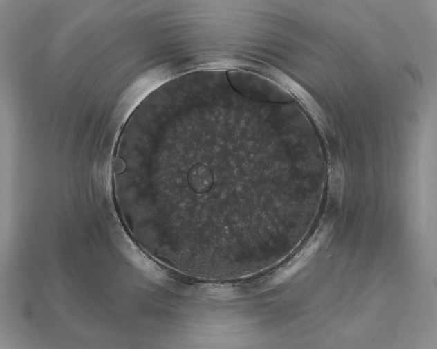 X0000115271194200911131801