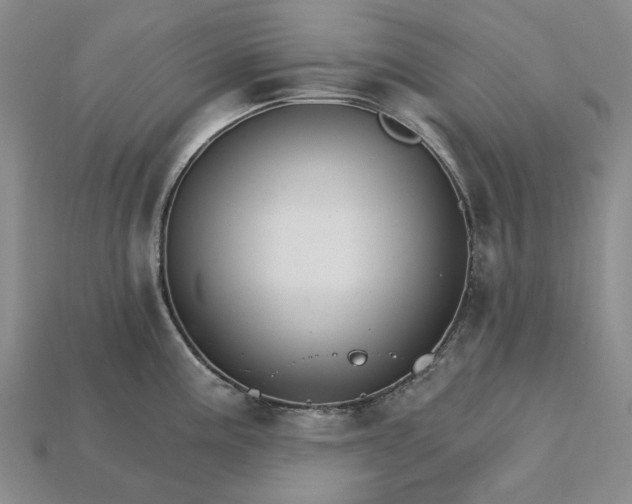 X0000115271195200911131801