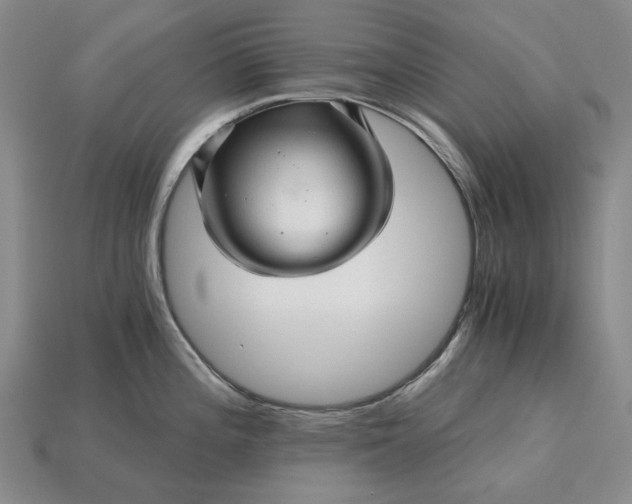 X0000115271196200911131801