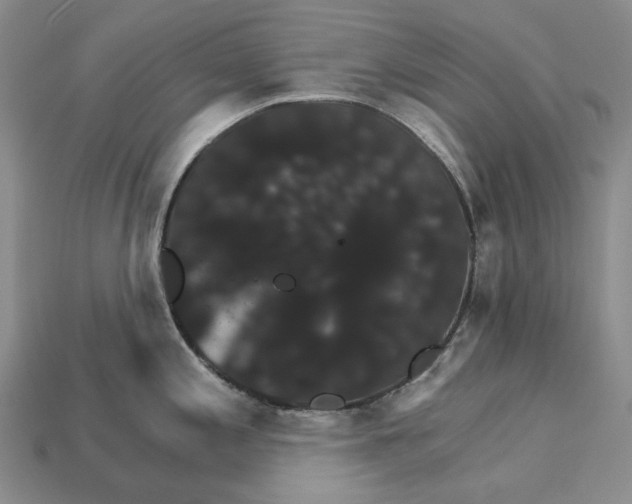 X0000115271197200911131801
