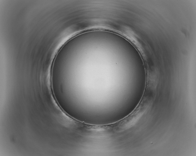 X0000115271199200911131801