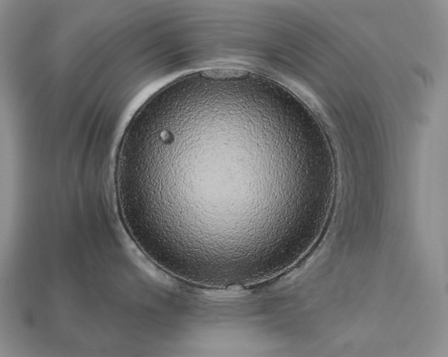 X0000115271200200911131801