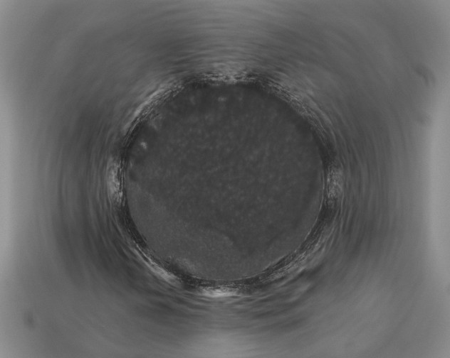 X0000115271202200911131800