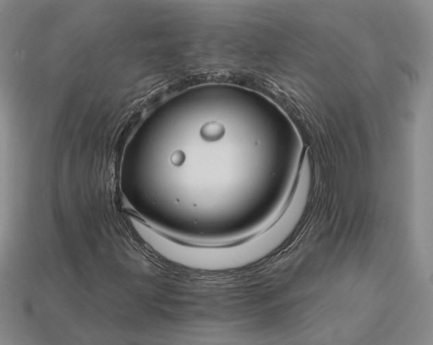 X0000115271203200911131800