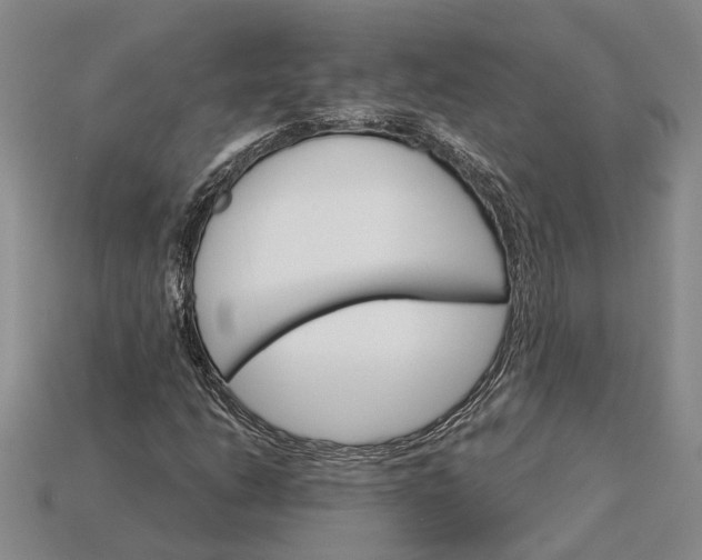 X0000115271206200911131800