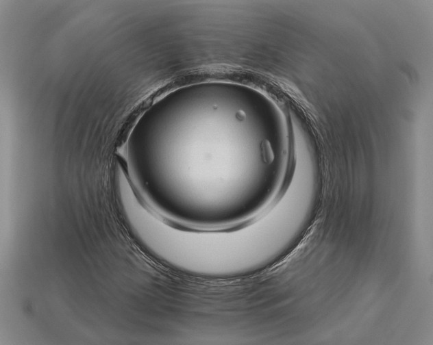 X0000115271209200911131800