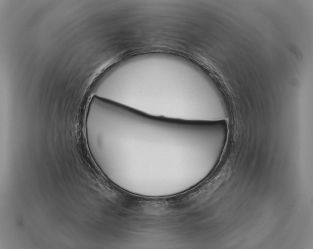 X0000115271210200911131800