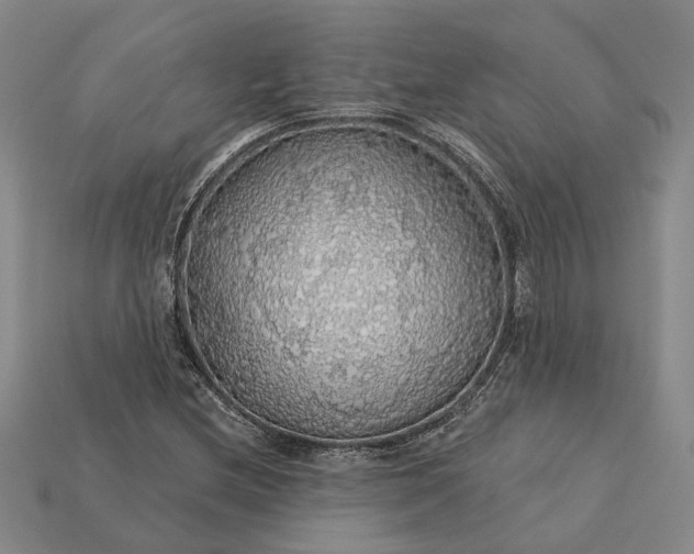 X0000115271212200911131800