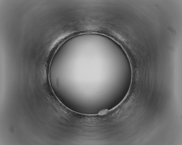 X0000115271214200911131800