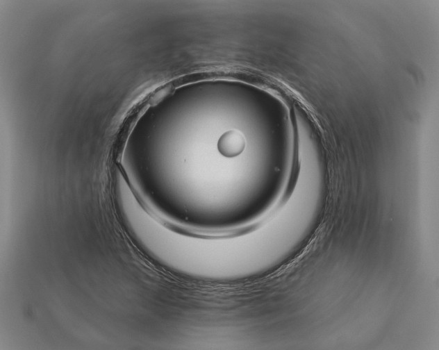 X0000115271215200911131800