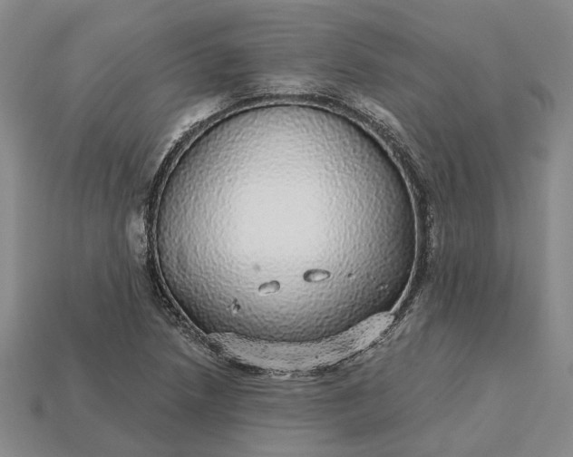 X0000115271218200911131800