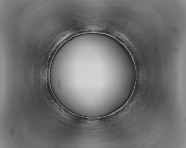 X0000115271220200911131800
