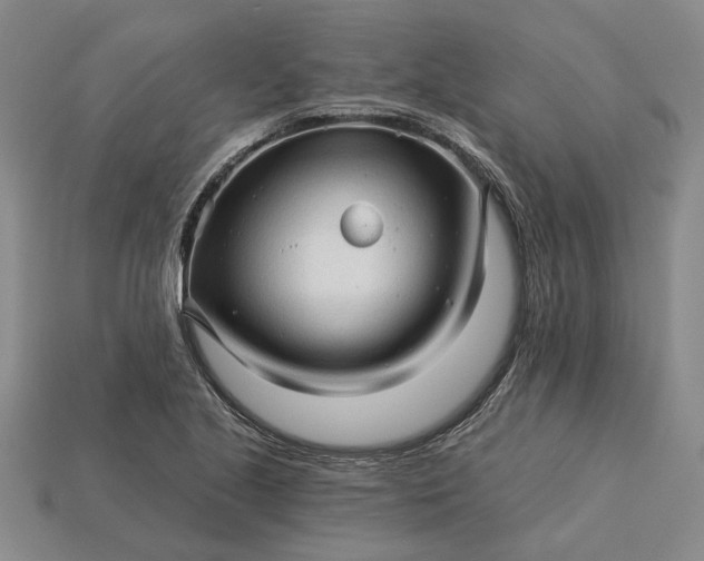 X0000115271221200911131800