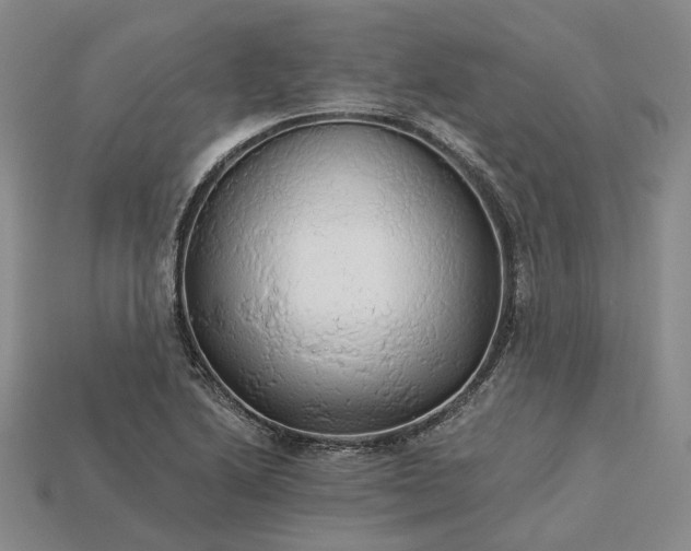 X0000115271222200911131800