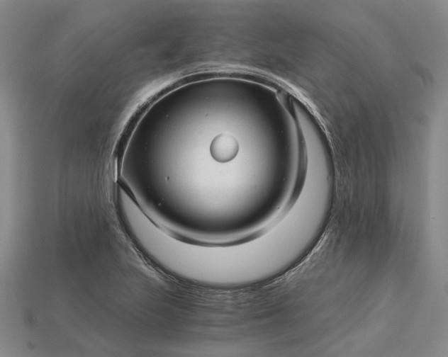 X0000115271223200911131800