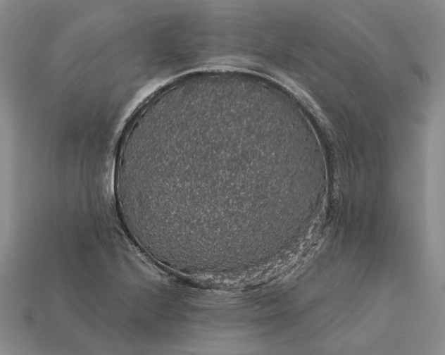 X0000115271224200911131800