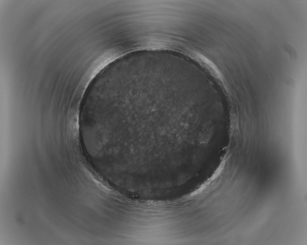 X0000115271226200911131800