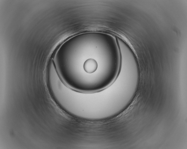 X0000115271227200911131800