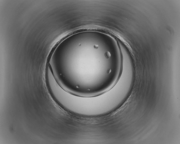 X0000115271229200911131800
