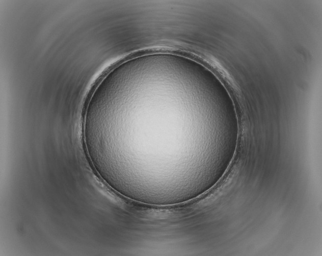 X0000115271232200911131800