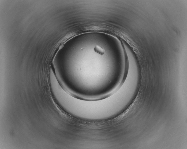 X0000115271233200911131800