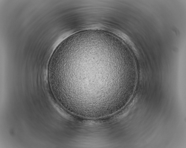 X0000115271234200911131800
