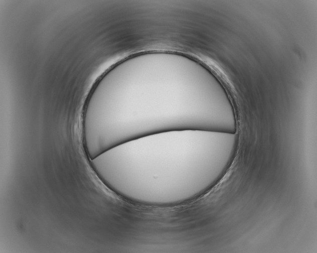 X0000115271238200911131800