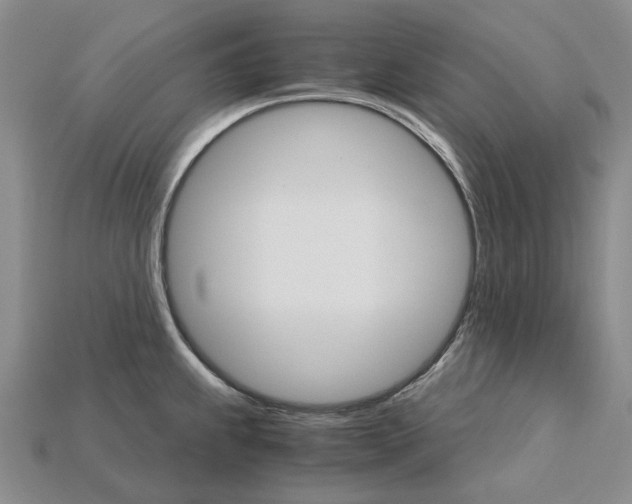 X0000115271239200911131800