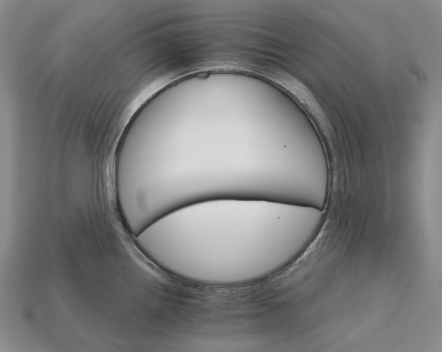 X0000115271242200911131801