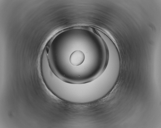 X0000115271243200911131801