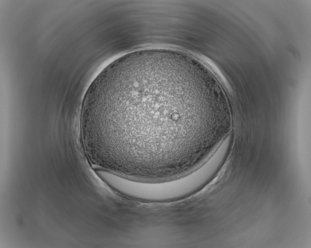 X0000115271244200911131801