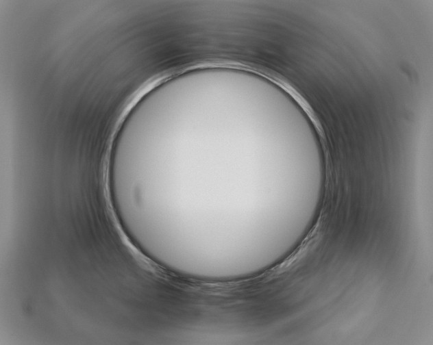 X0000115271245200911131801