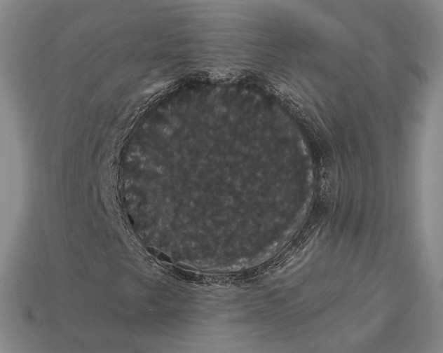 X0000115271249200911131800
