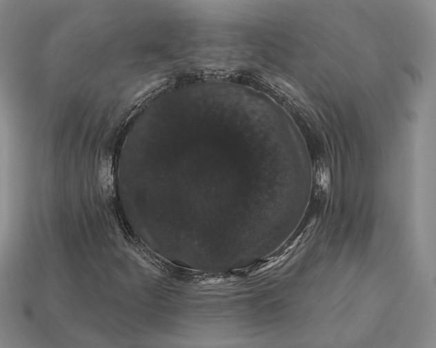 X0000115271252200911131800