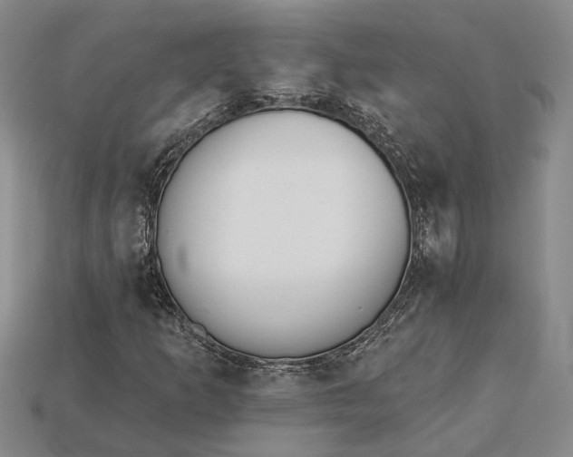 X0000115271253200911131800
