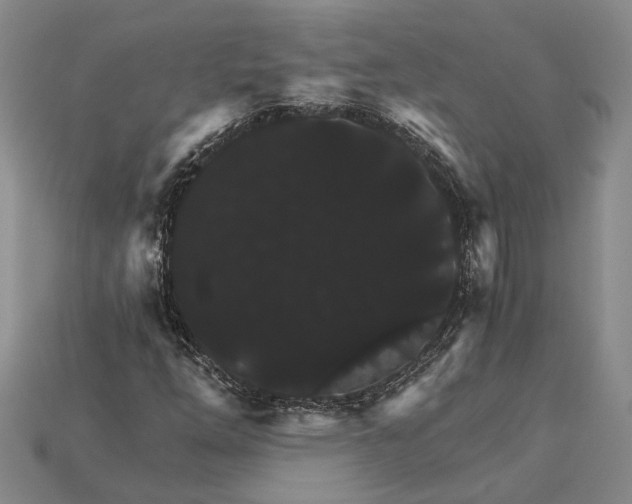 X0000115271254200911131800