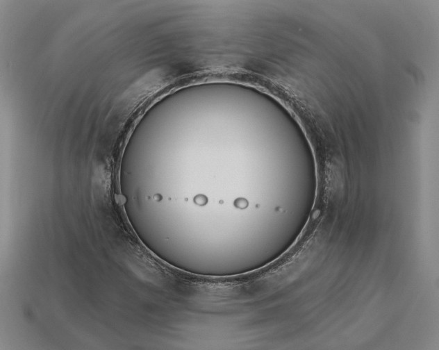 X0000115271257200911131800