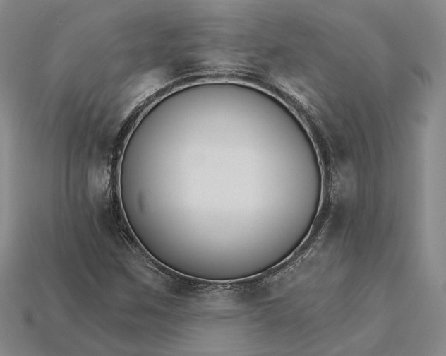 X0000115271259200911131800