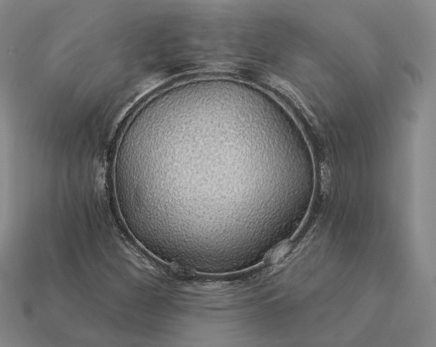 X0000115271260200911131800