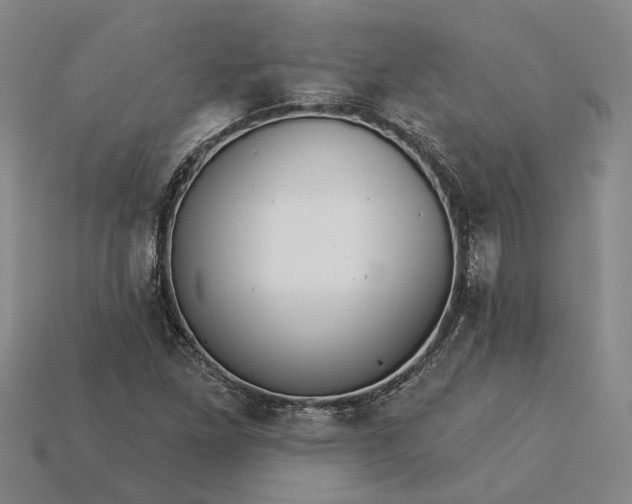 X0000115271261200911131800
