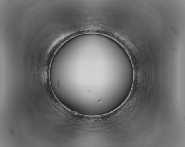 X0000115271262200911131800