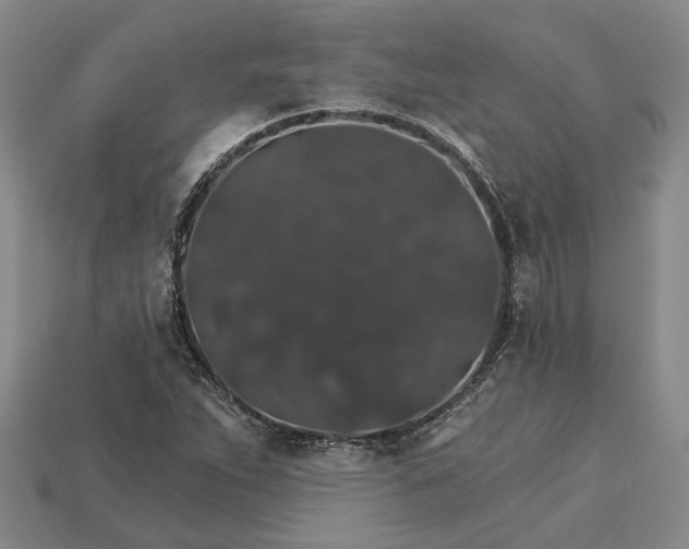 X0000115271263200911131800