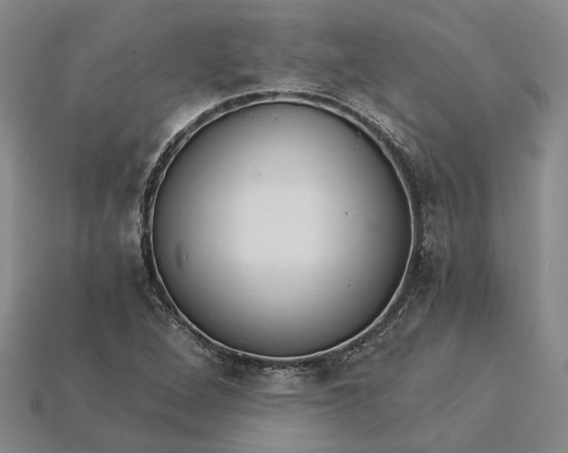 X0000115271264200911131800