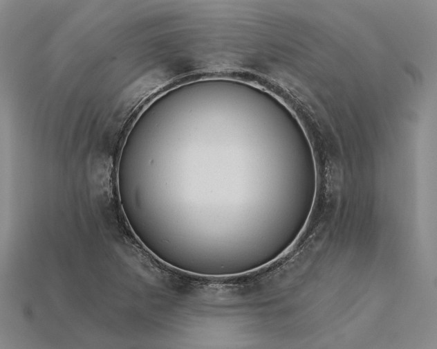 X0000115271265200911131800