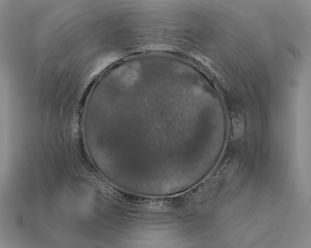 X0000115271266200911131800