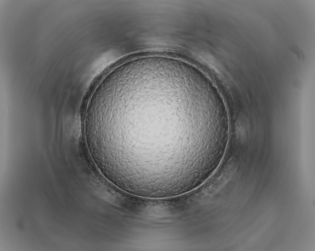 X0000115271267200911131800