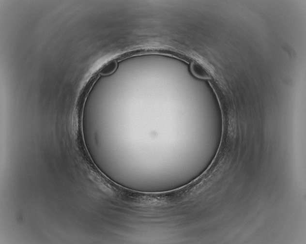 X0000115271270200911131800