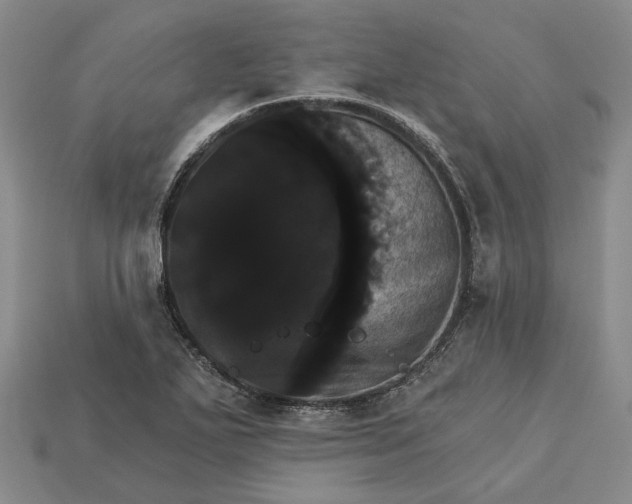 X0000115271271200911131800